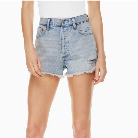 NWT Aritzia AGOLDE parker shorts color blue